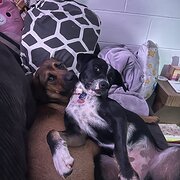 Acacia Ridge, Queensland, Australia