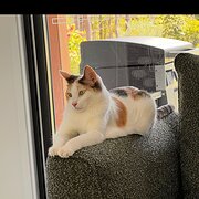 North Deep Creek, Queensland, Australia