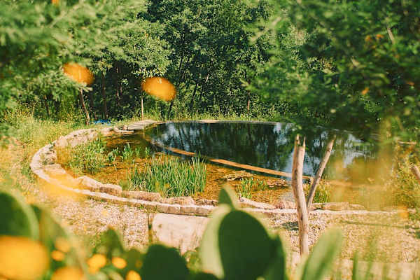 Fiais do Ervedal, Coimbra, Portugal