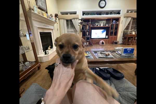 Benton, Arkansas, United States