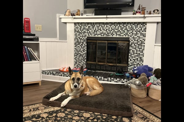 Madison, Wisconsin, United States