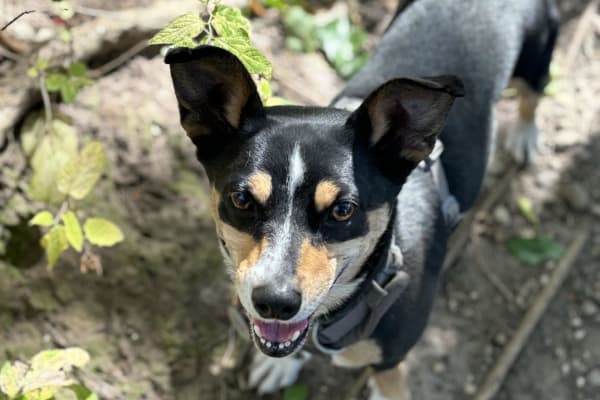 Madison, Wisconsin, United States