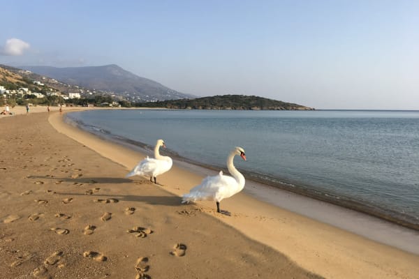 Gávrion, South Aegean, Greece