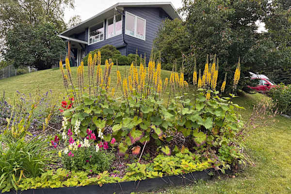 Anchorage, Alaska, United States