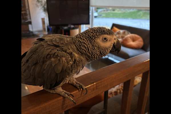 Alma, Quebec, Canada