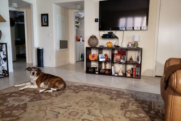 Las Vegas, Nevada, United States