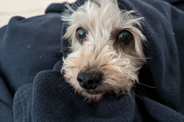 Cumbayá, Pichincha, Ecuador