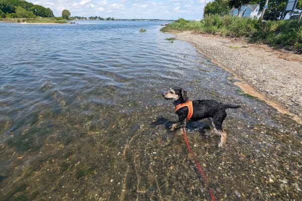 North Kingstown, Rhode Island, United States