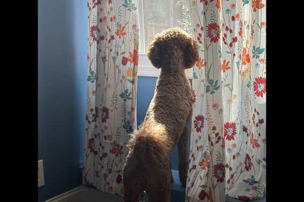 Huntsville, Alabama, United States