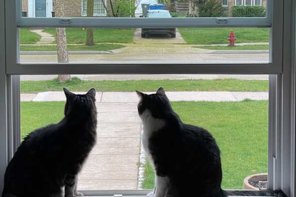 Whitefish Bay, Wisconsin, United States