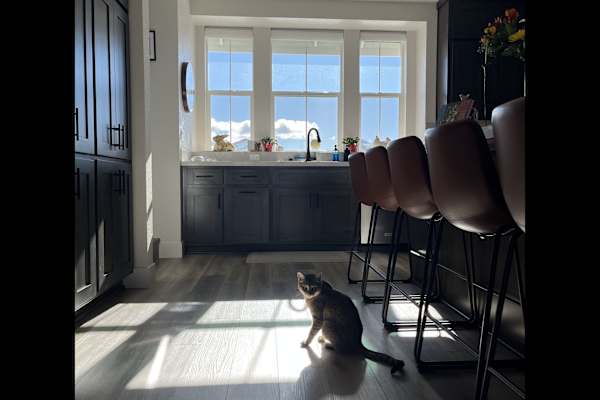 Carson City, Nevada, United States