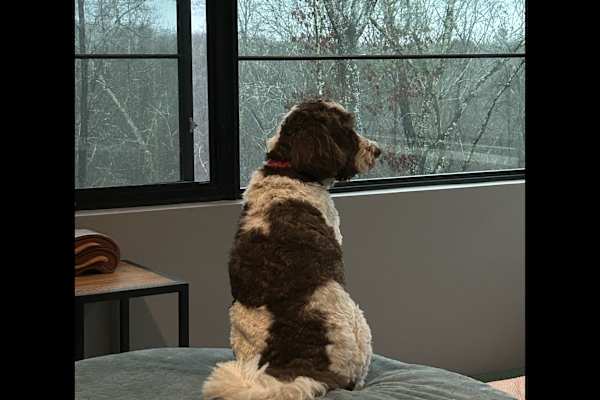 Chattanooga, Tennessee, United States