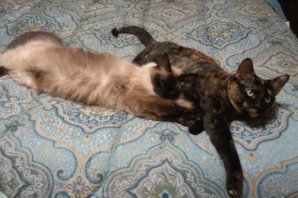 Natchez, Mississippi, United States