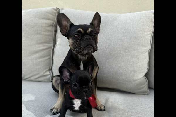 Dubai, Dubai, United Arab Emirates