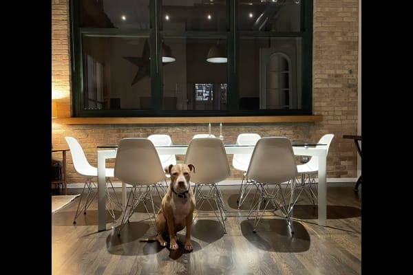 Chicago, Illinois, United States