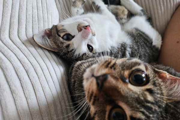 Jersey City, New Jersey, United States