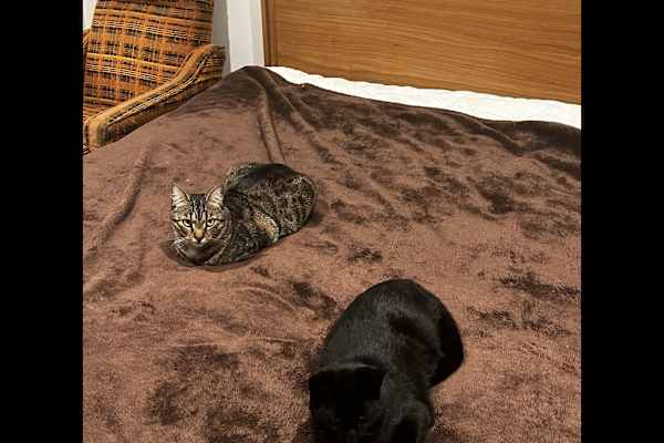 Darwin, Northern Territory, Australia