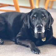 Canberra, Australian Capital Territory, Australia