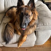 Punchbowl, Tasmania, Australia