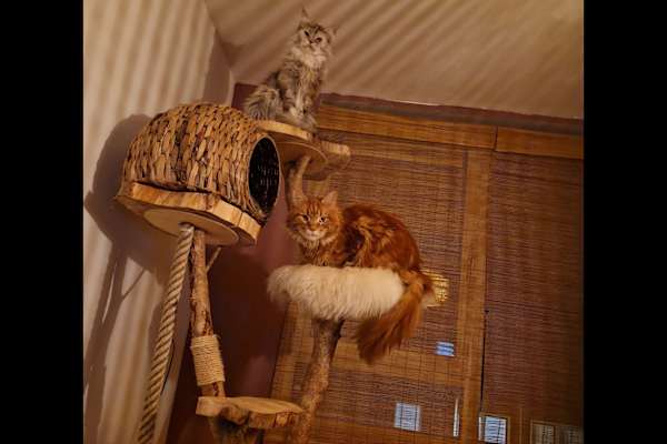 Scheveningen, South Holland, Netherlands