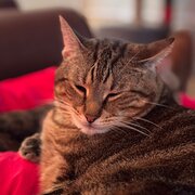 East Devonport, Tasmania, Australia