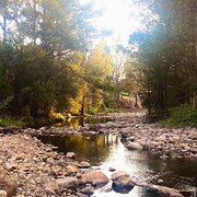 Mountain River, Tasmania, Australia