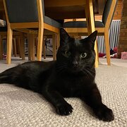 Gowrie, Australian Capital Territory, Australia