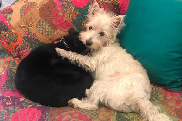 New Orleans, Louisiana, United States