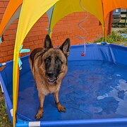 Oatlands, Tasmania, Australia