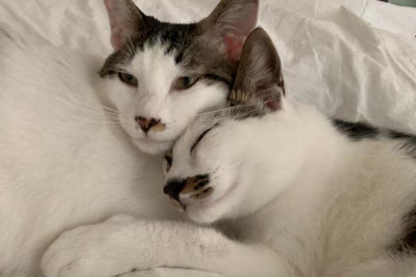 Phnom Penh, Phnom Penh, Cambodia