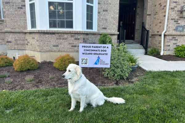 Cincinnati, Ohio, United States