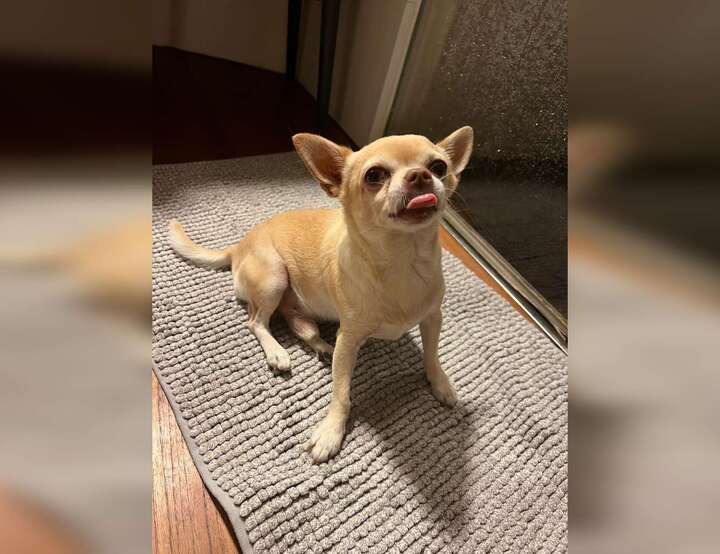 Mariano Comense, Lombardia, Italy