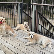 Spreyton, Tasmania, Australia