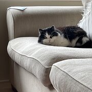 Farrer, Australian Capital Territory, Australia