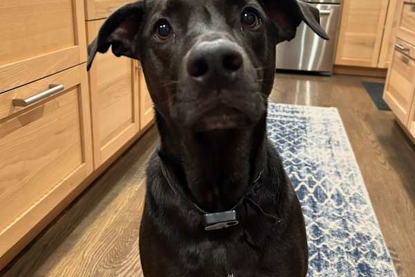 Malletts Bay, Vermont, United States