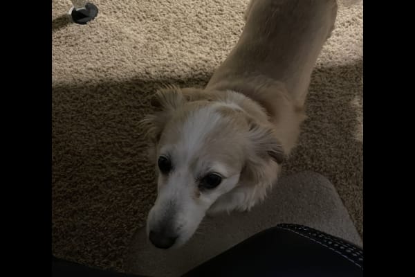 Atlanta, Georgia, United States