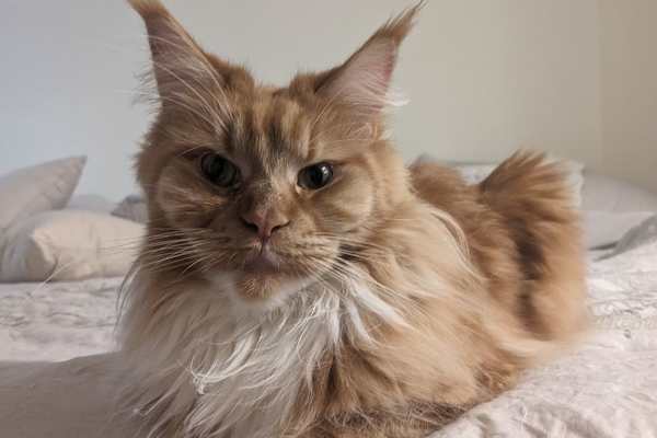 Jersey City, New Jersey, United States