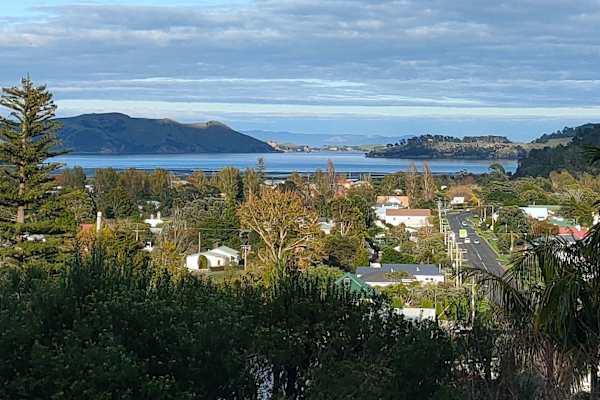 Coromandel, Waikato, New Zealand