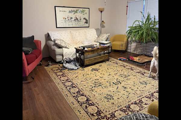 Clovis, New Mexico, United States