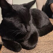 Coffin Bay, South Australia, Australia