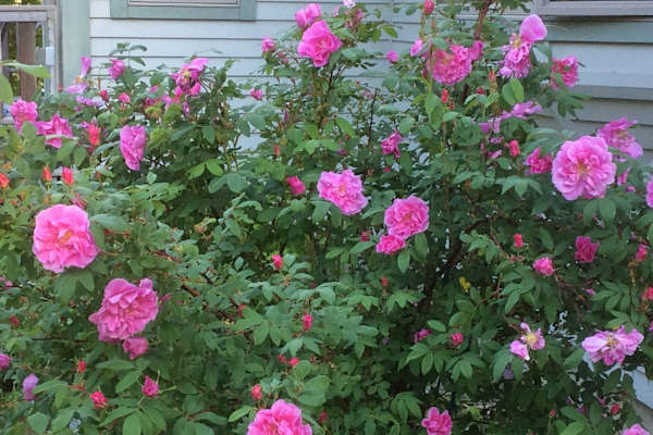 Center Belmont, Maine, United States