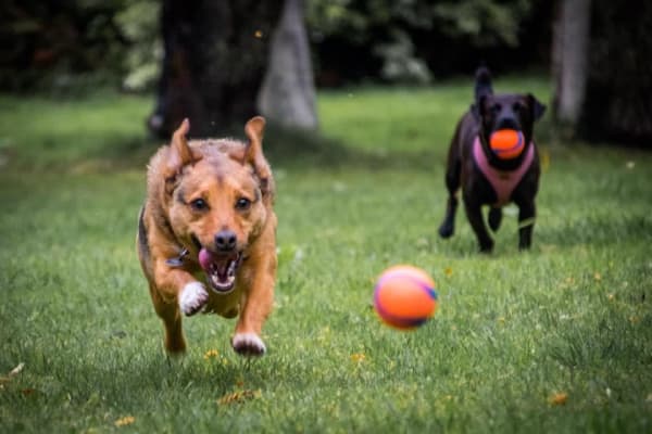 Portrush, Northern Ireland, United Kingdom
