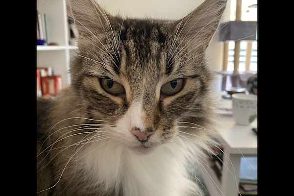 Palaió Fáliro, Attica, Greece