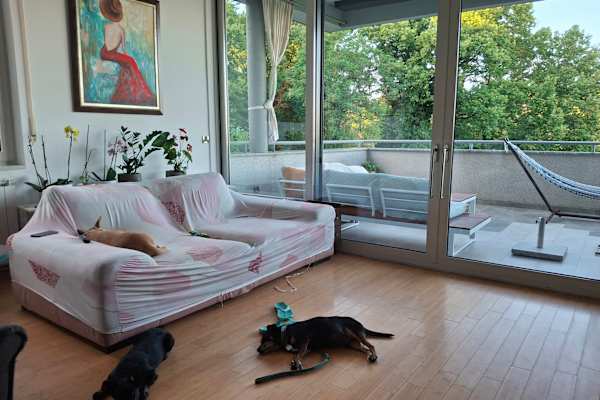 Zagreb, Grad Zagreb, Croatia