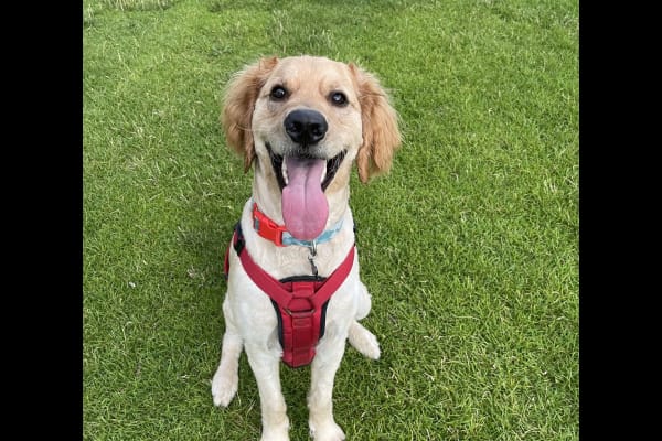 Phoenix, Arizona, United States