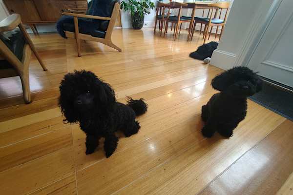 Hobart, Tasmania, Australia