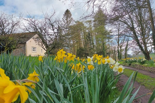 Bettws-Evan, Wales, United Kingdom