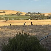 Stanley Flat, South Australia, Australia
