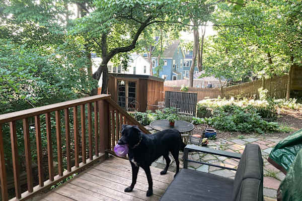 Arlington, Massachusetts, United States