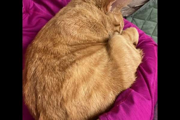 Virginia Beach, Virginia, United States